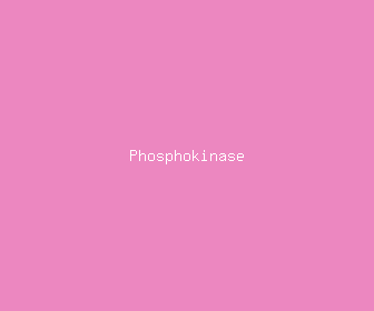 phosphokinase meaning, definitions, synonyms
