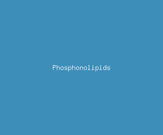 phosphonolipids meaning, definitions, synonyms