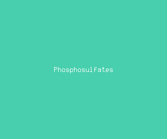 phosphosulfates meaning, definitions, synonyms