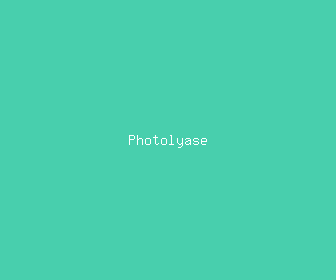 photolyase meaning, definitions, synonyms