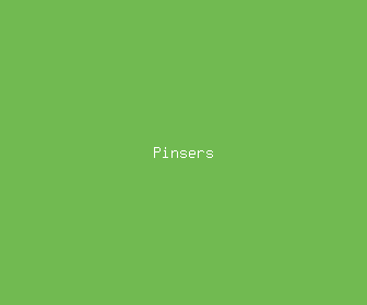 pinsers meaning, definitions, synonyms