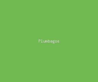 plumbagos meaning, definitions, synonyms