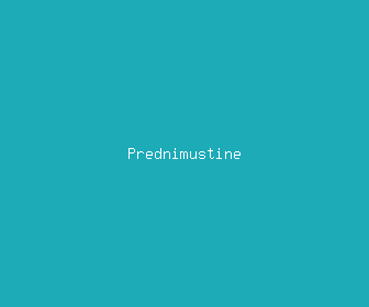 prednimustine meaning, definitions, synonyms