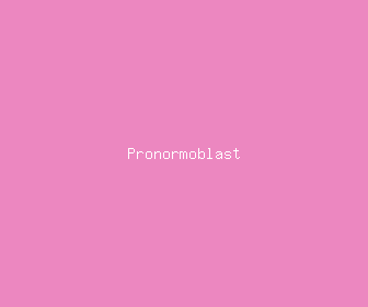 pronormoblast meaning, definitions, synonyms