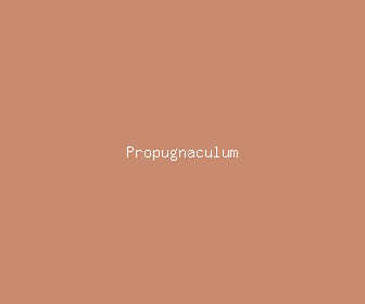 propugnaculum meaning, definitions, synonyms