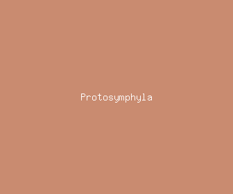 protosymphyla meaning, definitions, synonyms