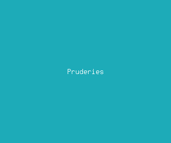 pruderies meaning, definitions, synonyms