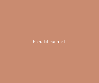 pseudobrachial meaning, definitions, synonyms