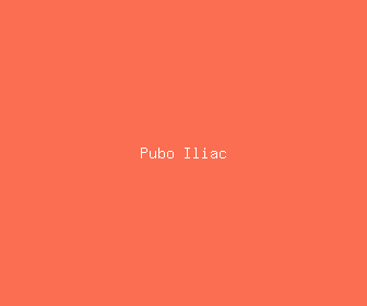 pubo iliac meaning, definitions, synonyms