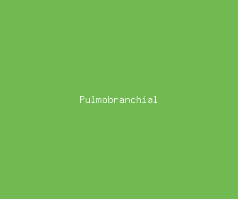 pulmobranchial meaning, definitions, synonyms
