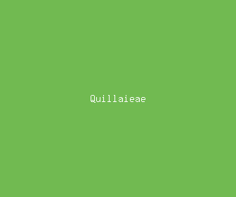 quillaieae meaning, definitions, synonyms