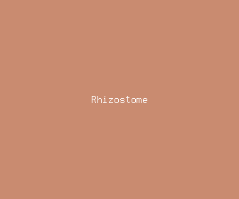 rhizostome meaning, definitions, synonyms