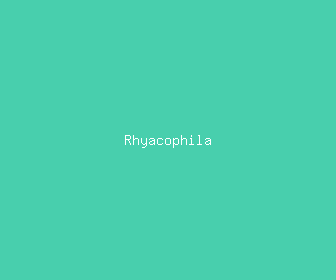 rhyacophila meaning, definitions, synonyms