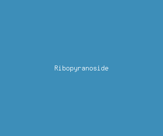ribopyranoside meaning, definitions, synonyms