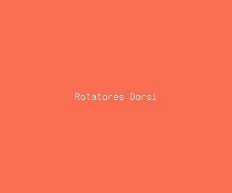 rotatores dorsi meaning, definitions, synonyms