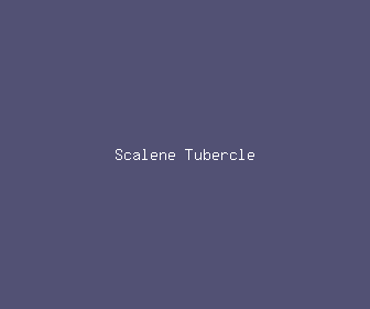 scalene tubercle meaning, definitions, synonyms