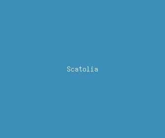 scatolia meaning, definitions, synonyms