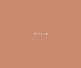 scholium meaning, definitions, synonyms