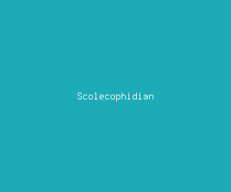 scolecophidian meaning, definitions, synonyms