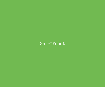 shirtfront meaning, definitions, synonyms