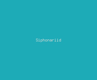 siphonariid meaning, definitions, synonyms