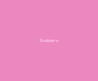 snubbers meaning, definitions, synonyms