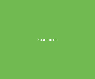spacemesh meaning, definitions, synonyms