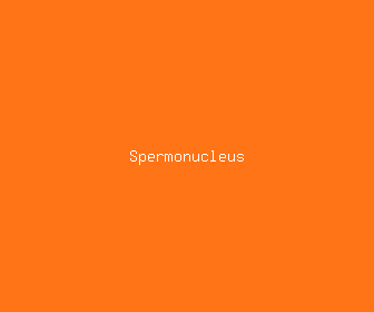 spermonucleus meaning, definitions, synonyms