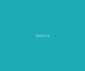 sphecid meaning, definitions, synonyms