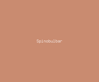 spinobulbar meaning, definitions, synonyms