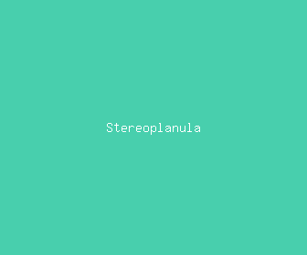 stereoplanula meaning, definitions, synonyms