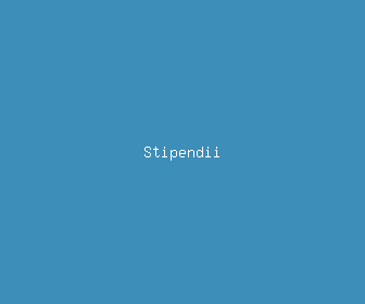stipendii meaning, definitions, synonyms