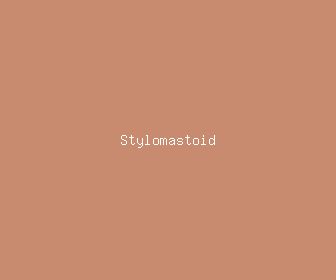 stylomastoid meaning, definitions, synonyms