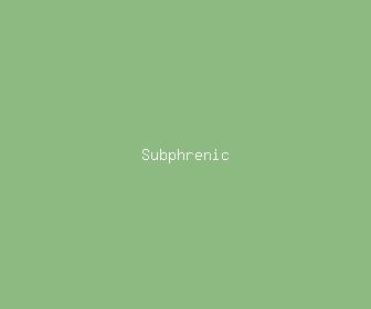 subphrenic meaning, definitions, synonyms