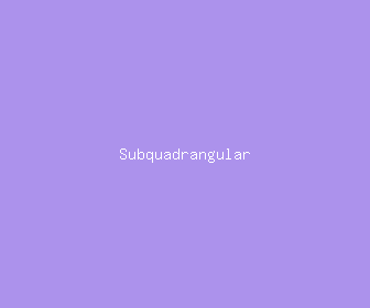 subquadrangular meaning, definitions, synonyms