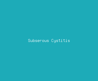 subserous cystitis meaning, definitions, synonyms