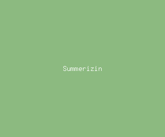 summerizin meaning, definitions, synonyms