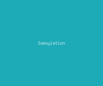 sumoylation meaning, definitions, synonyms