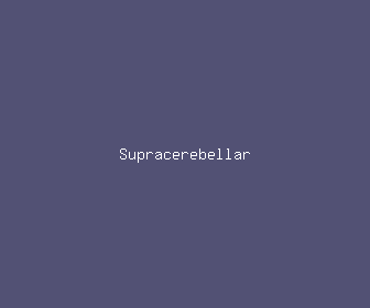 supracerebellar meaning, definitions, synonyms