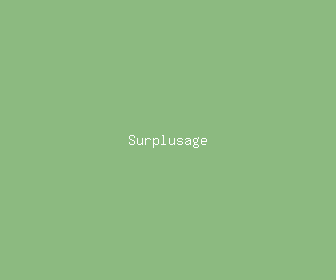 surplusage meaning, definitions, synonyms