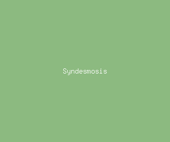 syndesmosis meaning, definitions, synonyms