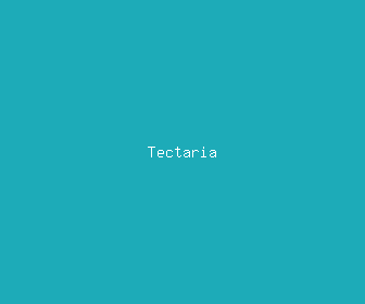 tectaria meaning, definitions, synonyms