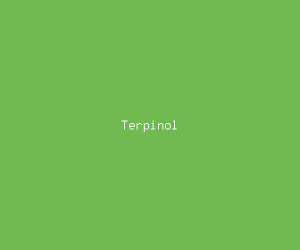 terpinol meaning, definitions, synonyms