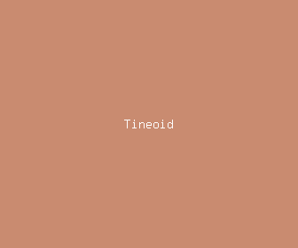 tineoid meaning, definitions, synonyms