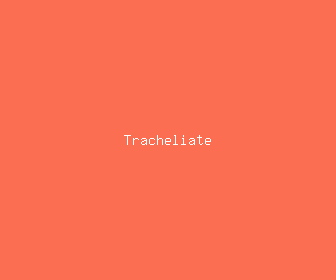 tracheliate meaning, definitions, synonyms