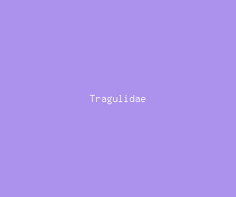 tragulidae meaning, definitions, synonyms