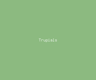 trupials meaning, definitions, synonyms