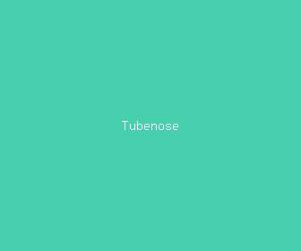 tubenose meaning, definitions, synonyms