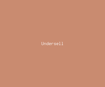 undersell meaning, definitions, synonyms