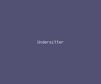 undersitter meaning, definitions, synonyms